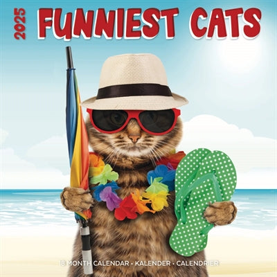 Load image into Gallery viewer, Kalender funniest cats 2025
