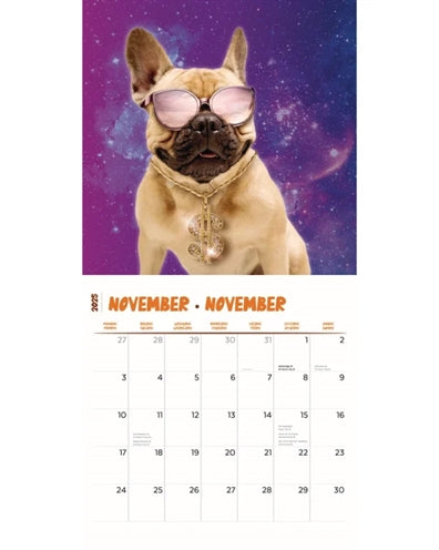 Load image into Gallery viewer, kalender crazy dogs 2025
