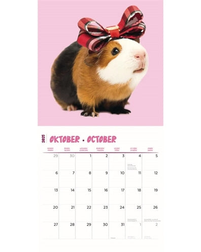 Load image into Gallery viewer, kalender cavia's studio 2025
