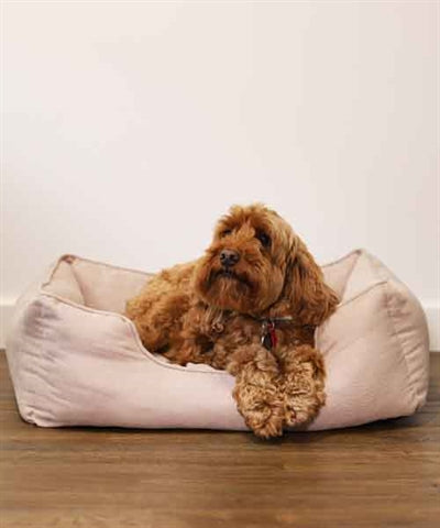 Load image into Gallery viewer, Rosewood 40 winks hondenmand thin twill beige
