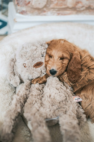 Load image into Gallery viewer, My dog hond pluche bruin
