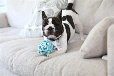 Load image into Gallery viewer, Jw hol-ee roller trend-ee blauw
