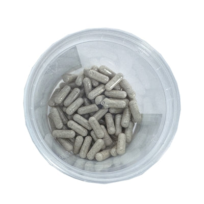 Load image into Gallery viewer, Dierendrogist darmflora opbouw verbeterend capsules
