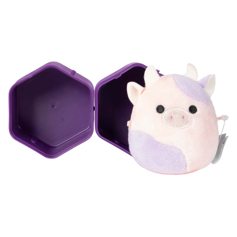 Afbeelding laden in galerijviewer, Squishmallows | 12 stuks
