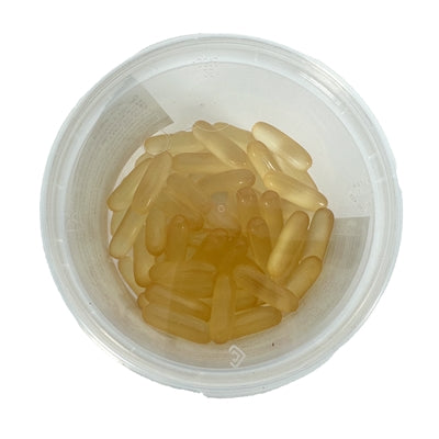 Afbeelding laden in galerijviewer, Dierendrogist zalmolie capsules
