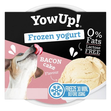 Yowup ! frozen yoghurt bacon cake