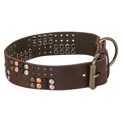 ギャラリービューアに画像をロードする, Trixie halsband hond rivet rustic vetleer donkerbruin
