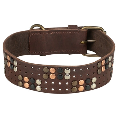 ギャラリービューアに画像をロードする, Trixie halsband hond rivet rustic vetleer donkerbruin
