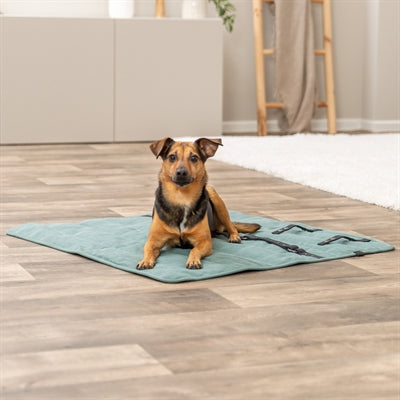 Load image into Gallery viewer, Trixie hondendeken reisdeken citystyle vierkant saliegroen
