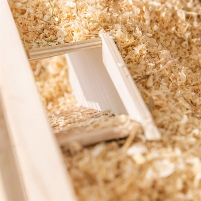 Trixie observatiebox muis hamster met tunnel onbehandeld hout