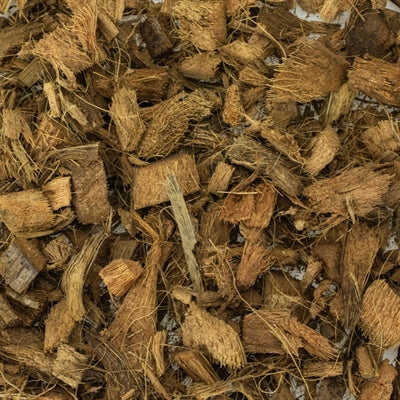 Cargue la imagen en el visor de la galería, Back zoo nature discovery bedding
