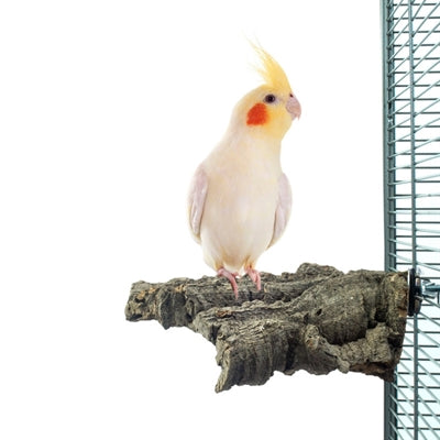 Laden Sie das Bild in Galerie -Viewer, Back zoo nature corky chew
