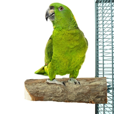 Afbeelding laden in galerijviewer, Back zoo nature wood slice perch
