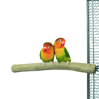 Load image into Gallery viewer, Back zoo nature java perch
