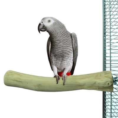 Load image into Gallery viewer, Back zoo nature java perch
