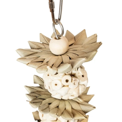 Back zoo nature palm star balls