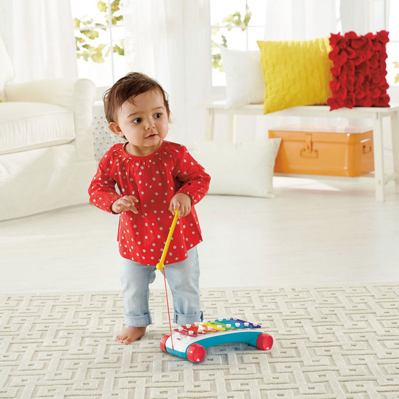 Afbeelding laden in galerijviewer, Mattel fisher-price xylofoon - speelgoedmuziekinstrument
