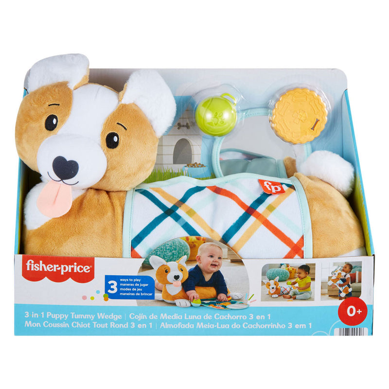 Load image into Gallery viewer, Fisher Price 3in1 Puppy Buikligtrainer
