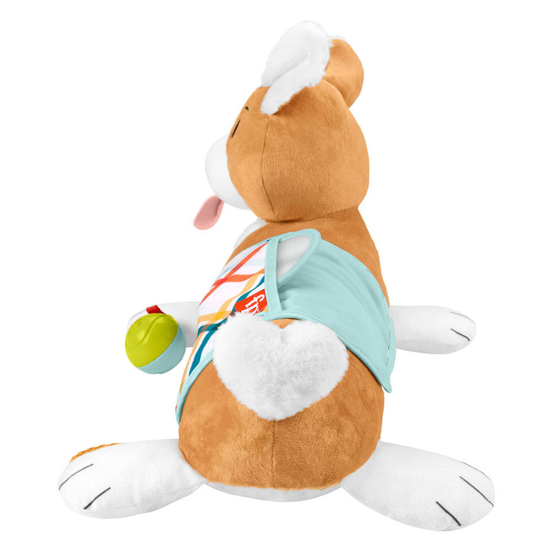 Load image into Gallery viewer, Fisher Price 3in1 Puppy Buikligtrainer
