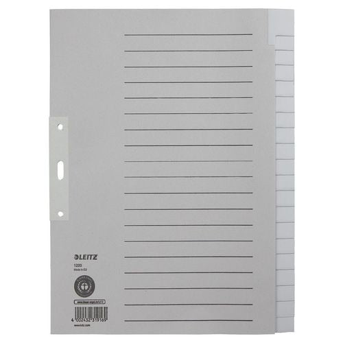 Tabbladen leitz 100 g m2 20 tabs