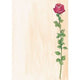 Design papier sigel a4 90 g m² 25 vel kleurenassortiment