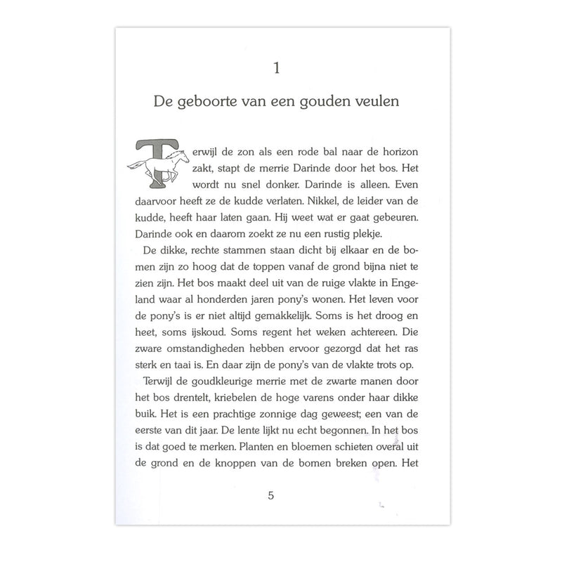 Afbeelding laden in galerijviewer, Kluitman gouden paarden: aurea de wilde pony
