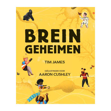 Uitgeverij kluitman breingeheimen