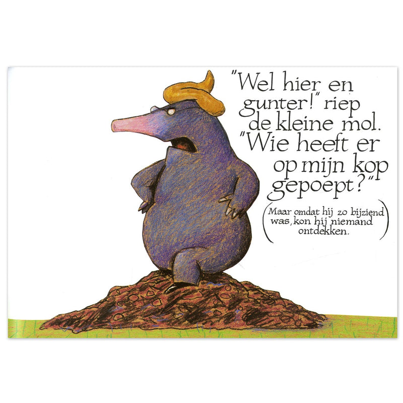 Load image into Gallery viewer, Centraal boekhuis over een kleine mol die wil weten wie er op zijn kop gepoept
