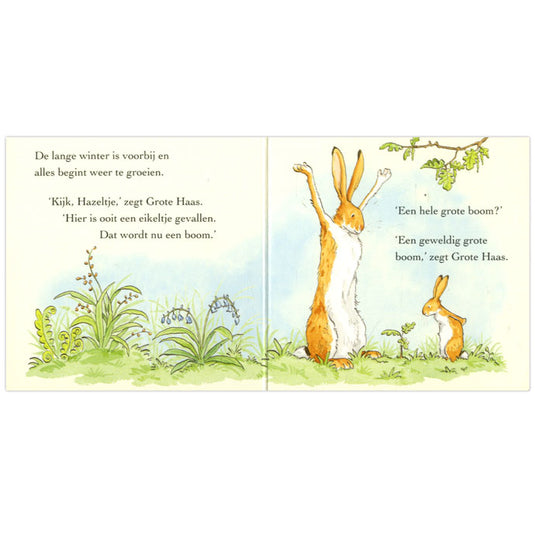 Centraal boekhuis raad eens hoeveel ik van je hou, 4st.