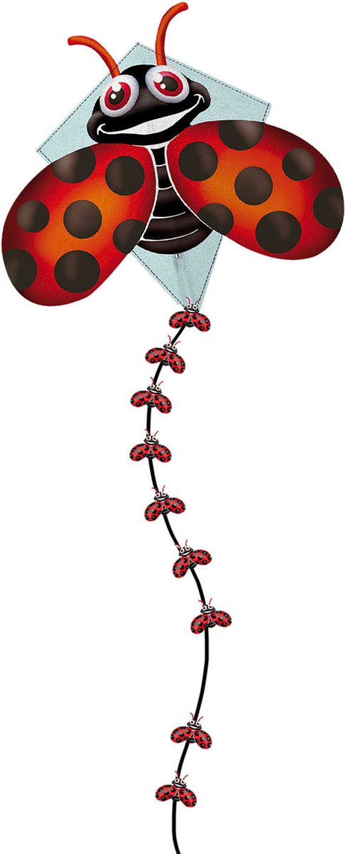 Afbeelding laden in galerijviewer, Kites ready 2 fly - pop-up nylon vlieger lieveheerstbeestje
