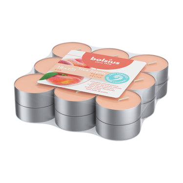 Bolsius geurtheelichten true scents peach ø38x18 mm 4 uur (8x 18 stuks)