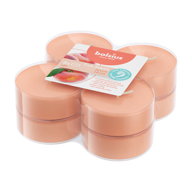 Bolsius maxilichten true scents peach ø58x24 mm 8 uur (6x 8 stuks)