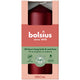 Bolsius stompkaars metallic red ø58x120 mm 33 uur (6 stuks)