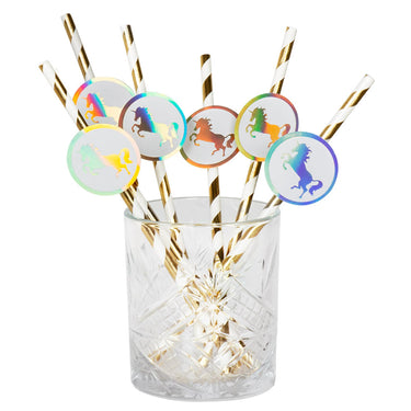 Boland papieren rietjes eenhoorn set a 6 stuks 20cm