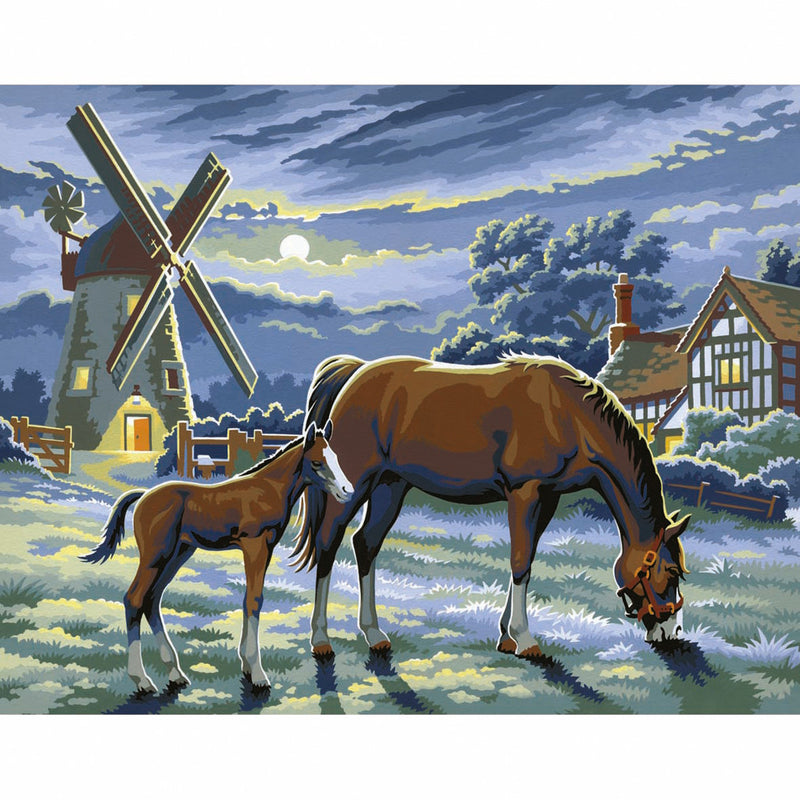 Load image into Gallery viewer, Basic Schilderen Op Nummer Paarden
