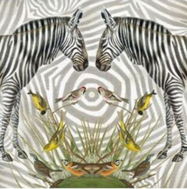 Kaart+envelop zebra. 16x16 cm