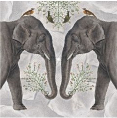 Kaart+envelop indian olifant. 16x16 cm