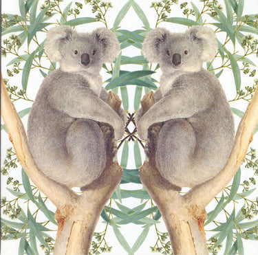 Kaart+envelop koalaberen. 16x16 cm