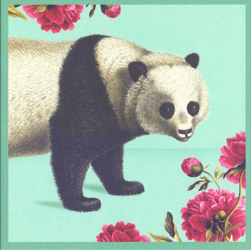 ギャラリービューアに画像をロードする, Kaart+envelop pandabeer. 16x16 cm
