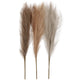 Creativ company https: www.cchobby.nl pampasgras-l-50-cm-licht-beige-lichtbruin-lichtgrijs-3-stuk-1-bol
