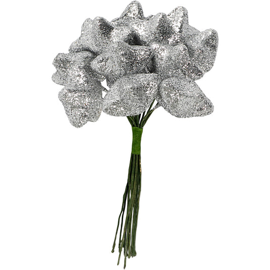 Creativ company kunst sterren, d 25 mm, zilver, 12 stuk 1 doos