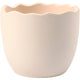 Https: www.cchobby.nl bloempot-h-6-3-cm-d-7-5-cm-wit-24-stuk-1-doos