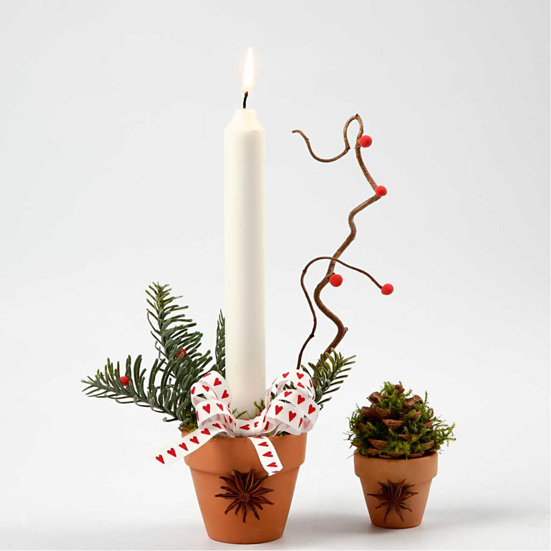 Load image into Gallery viewer, Https: www.cchobby.nl bloempot-h-6-5-cm-d-7-cm-24-stuk-1-doos
