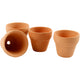 Https: www.cchobby.nl bloempot-h-3-1-cm-d-3-4-cm-48-stuk-1-doos