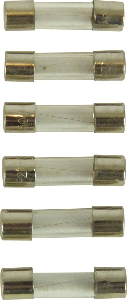 Carpoint radiozekering 2a 6-stuks