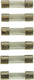Carpoint radiozekering 2a 6-stuks