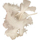 Http: www.cchobby.nl dons-afm-7-8-cm-ca-3750-stuk-wit-500-gr-1-doos