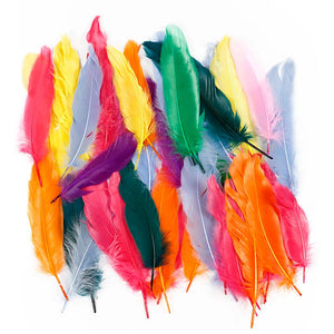 Https: www.cchobby.nl veren-l-12-15-cm-diverse-kleuren-350-stuk-1-doos