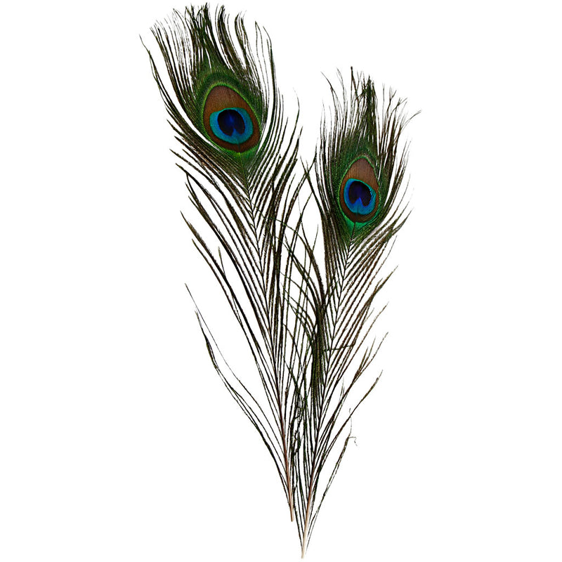 Load image into Gallery viewer, Creativ company https: www.cchobby.nl pauwenveren-l-25-30-cm-10-stuk-1-doos
