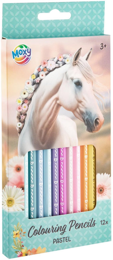 Creative craft group kleurpotloden pastel - 12st.